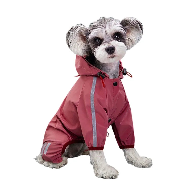 Chubasquero de lunares para perros pequeños - vista trasera