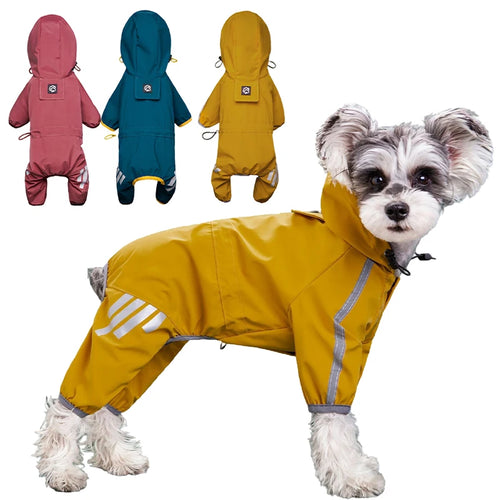 Chubasquero de lunares para perros pequeños - perro con el conjunto puesto