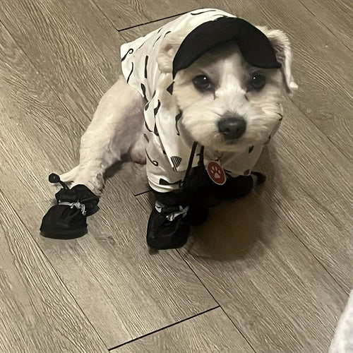 Perro con botas impermeables puestas