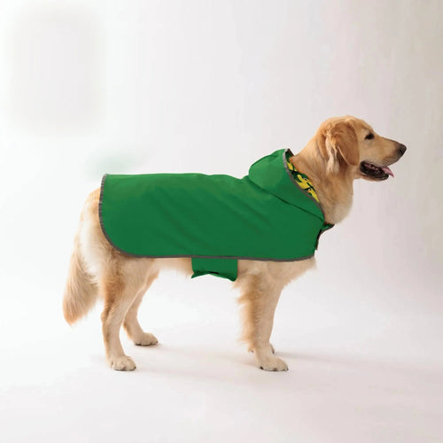 Chubasquero impermeable para perros - perro paseando con lluvia