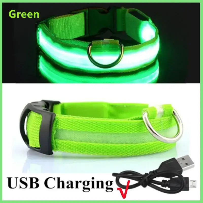 Collar LED para perro color Verde